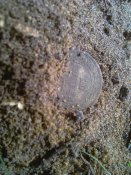 IMAG0076.jpg