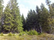 IMG_20140427_093403.jpg