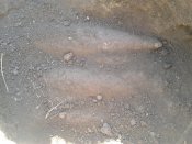 20140427_160429.jpg