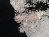 20140427_121328.jpg