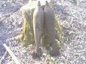 Photo-0001.jpg