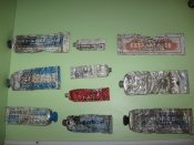 IMG_1517.jpg