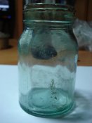 DSC03473.JPG