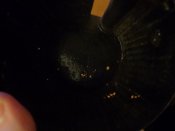 DSC01828.JPG