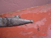 DSC00810.JPG