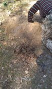 IMAG0423.jpg