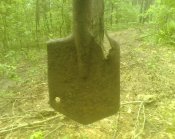 IMG1418A.jpg