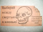 череп.jpg