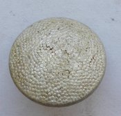 8902060.jpg