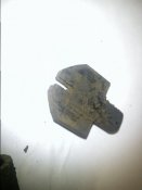 DSC00142.JPG