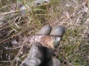 WP_001353.jpg