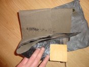 DSC06384.JPG