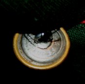 IMG_0242.jpg