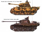 Panther (2).jpg