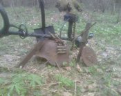 IMG1769A.jpg