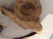 DSC01304.JPG