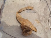 DSC01302.JPG