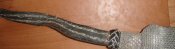 DSC05758.JPG