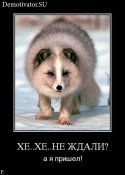 demotivators_97.jpg