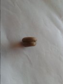 2014-05-12 12.35.33.jpg