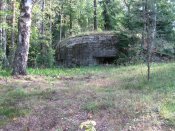 IMG_1537.JPG