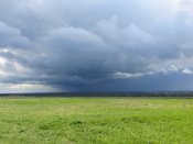 IMG_2586.JPG