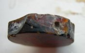 DSCN1240.jpg