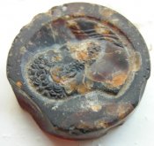 DSCN1241.jpg
