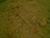 050822_150643.jpg