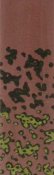 SS-Camo-05.jpg