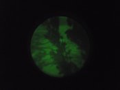 DSCF5978.JPG