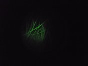 DSCF5992.JPG