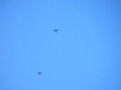IMG_2607.JPG