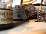 DSCF8379 (Large).JPG