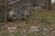 pav-vs-mc3.jpg