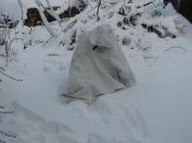Изображение 500.jpg