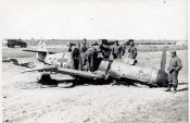 JG 54 8 Staffel.jpg