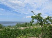 IMG_2677.JPG