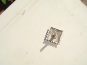 DSC09503.JPG