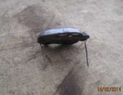 125519465_5_1000x700_kokarda-ss-original-kirovogradskaya-oblast (2).jpg