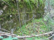 IMG_1605.JPG