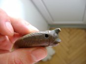 DSC08437.JPG