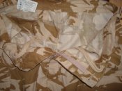 DSC00204.JPG