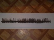 27012009212.jpg