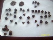 100_9886.JPG