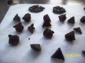 100_9887.JPG