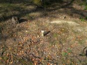 IMG_1565.JPG