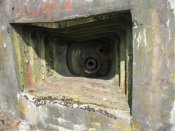 IMG_1496.JPG
