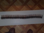 27012009228.jpg