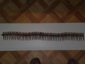 27012009229.jpg